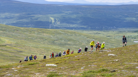 Fjällöparveckan