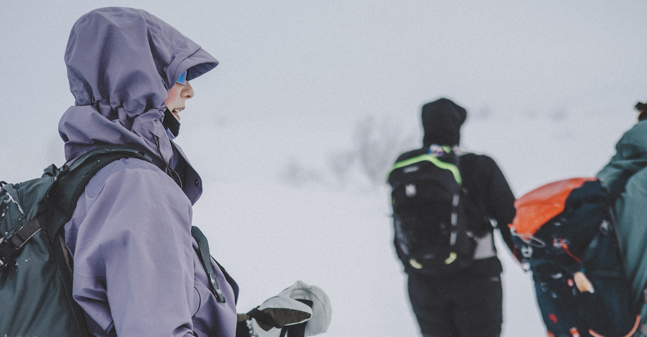 En grupp skidåkare på fjället.