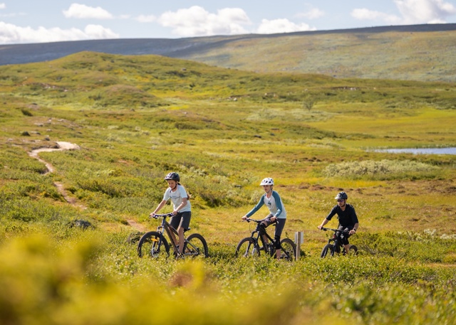 Stigcykling Tanndalen