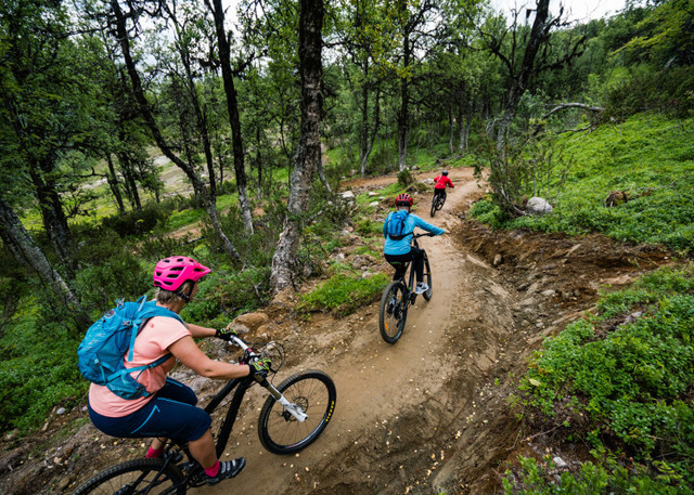 Cyclists riding downhill on a trail in Tänndalen