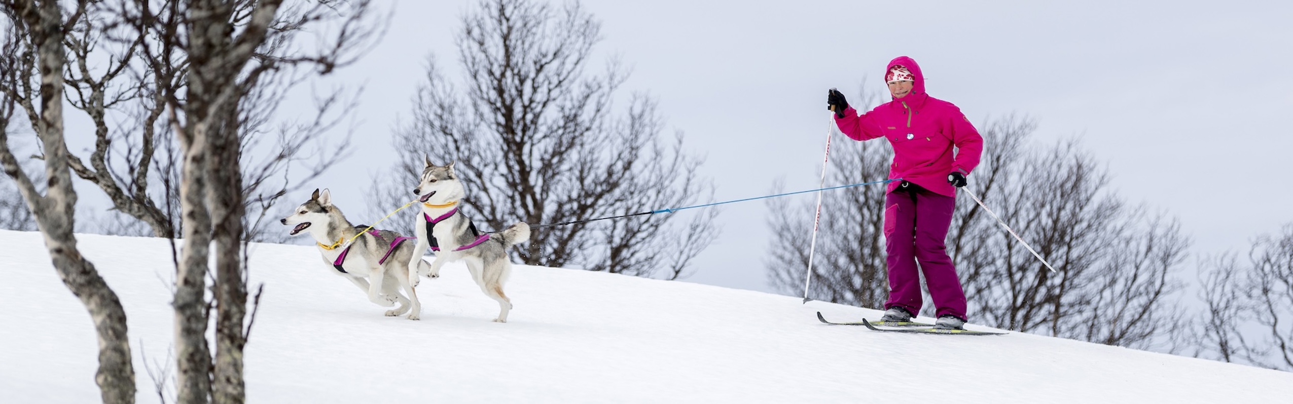 Kvinna med två hundar på längd