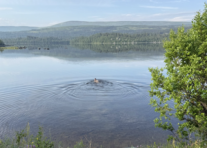 Tänndalssjön