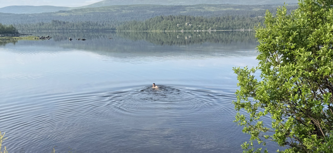 Tänndalssjön