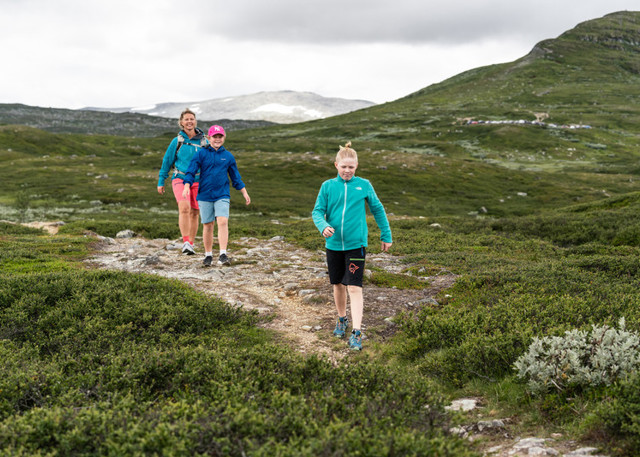 Barn Tanndalen
